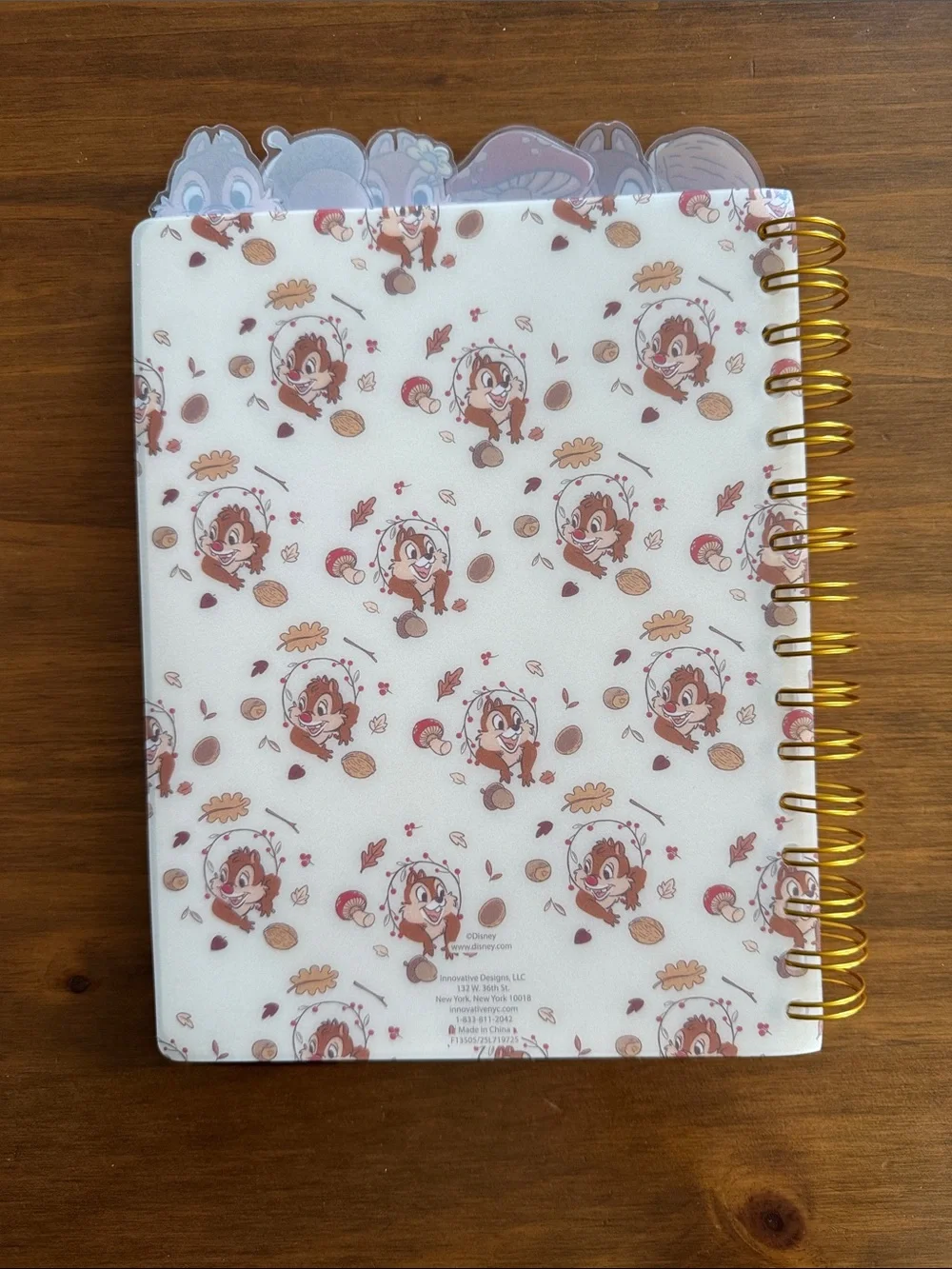 Disney Chip 'n' Dale Fall Leaf Spiral Notebook – Brown & Gold